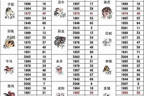 1995年是什么猪|1995年属猪是什么命，95年出生五行属什么